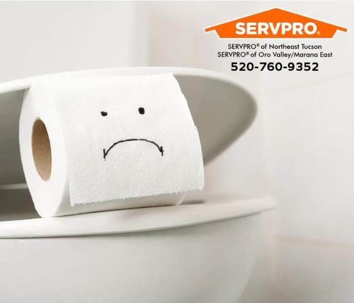 A toilet paper roll with an unhappy face is shown sitting on a toilet.